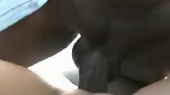 Nice white wife fuck in the car with a black friend